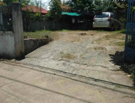 1.5M Lot  Central Park Davao City