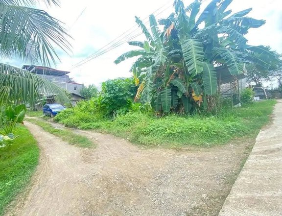 Golden Hills Village 236 sqm Davao city