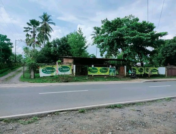 Commercial Lot in Tugbok Davao city