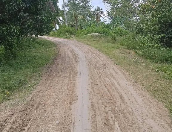 Farm lot with bearing trees Davao del sur