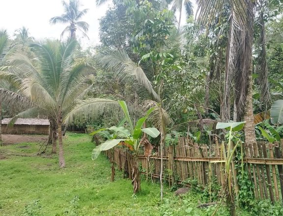 Farm Lot 1 Hectare Balingasag Misamis Oriental