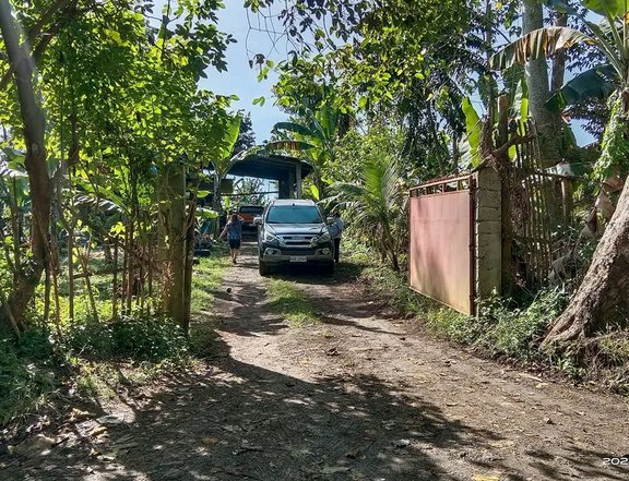 Farm House Impasugong Bukidnon