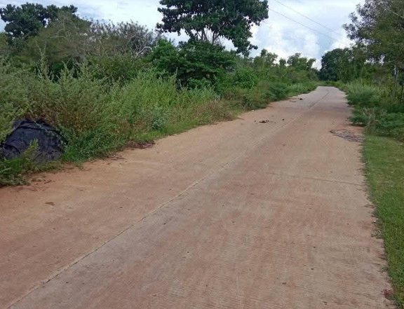 Farm Lot along cemented road Misamis Oriental