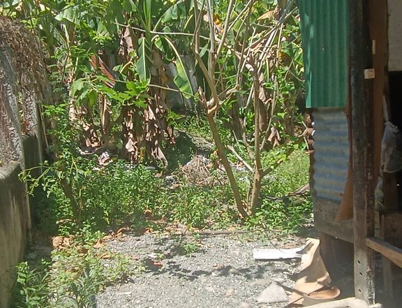 Residential Lot For Sale in Liloan Cebu