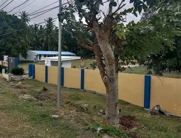 Commercial Lot National Highway Gitagum Misamis Oriental
