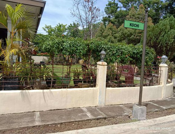220 Sqm , 6.5m Only House and Lot Mintal