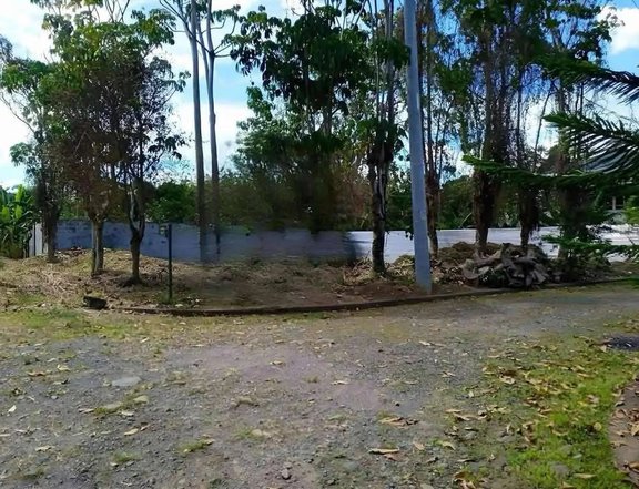 Commercial Lot Greenhills Subdivision Catalunan Pequeno