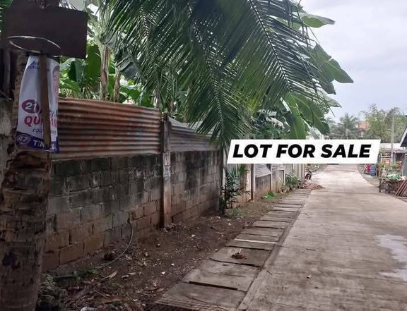 Commercial Lot 2.5m Pampanga Lanang Davao city