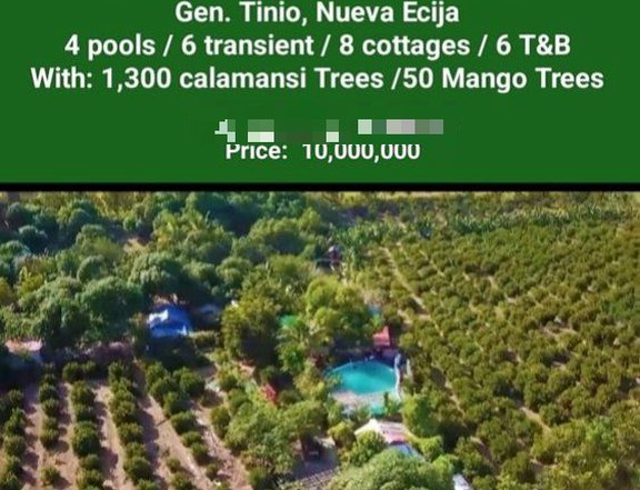 RESORT(operating) FOR SALE Gen. Tinio, Nueva Ecija 1,300 calamansi /50 Mango 2.2 has10,000,000