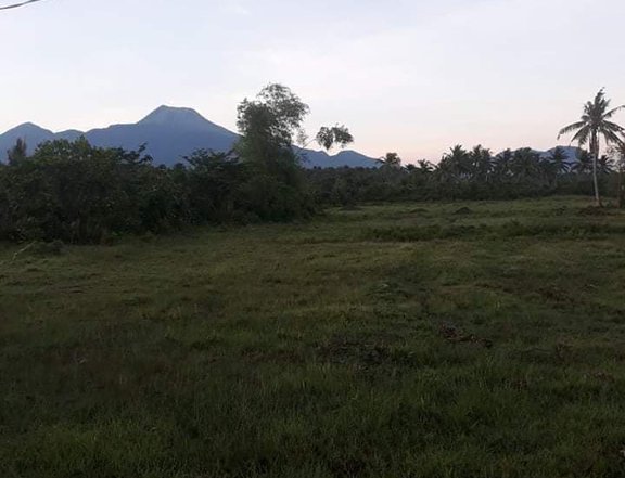 Farm Lot for Sale in Juban Sorsogon