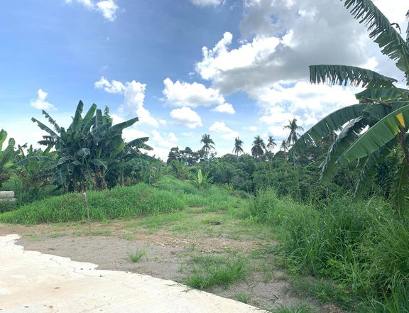Lot for Sale in Brgy Ulat Silang Cavite along Event Pulo
