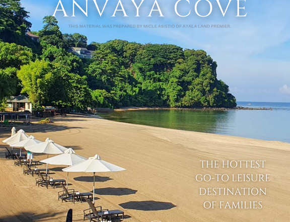 Anvaya Cove NEW PHASE! Lot for sale preselling
