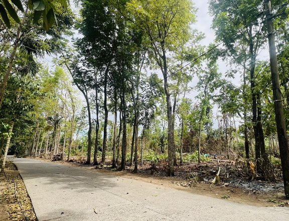 2,500 per sqm Farm Lot for sale in Bailen Cavite