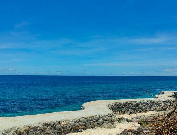 127 sqm Beach Lot For Sale In Alcoy Cebu