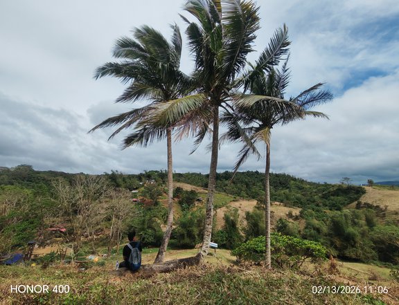 500 sqm Farm Lot For Sale in Tanay Rizal