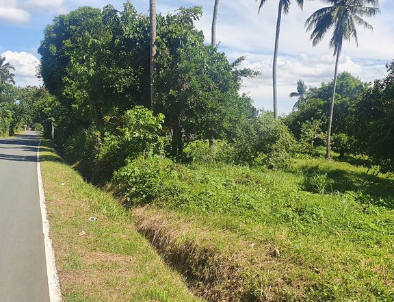 195,000 ONLY DOWNPAYMENT FOR  RESIDENTIAL FARM LOT NEAR TAGAYTAY