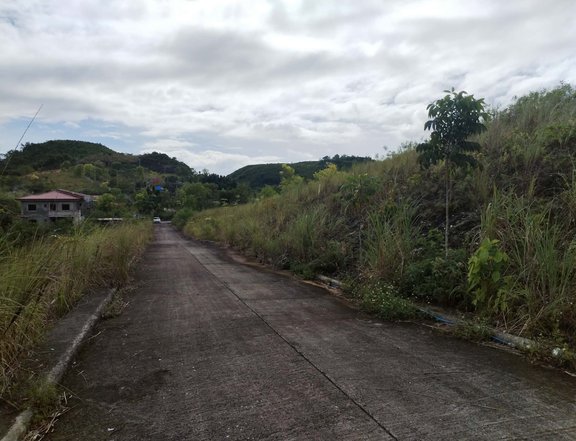 For sale 100sqm lot , inside subdivision of Polog consolacion