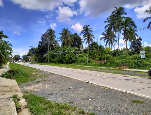 Titled Farm lot near Tagaytay - Residential along main/Provincial road