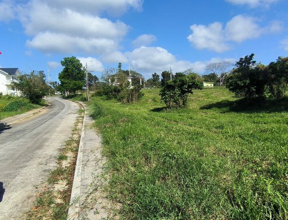 Lot For Sale Royale Tagaytay Esates