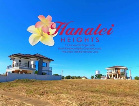 227 sqm Residential Lot Sale Robinsons Hanalei Subdivision Laoag Iloco
