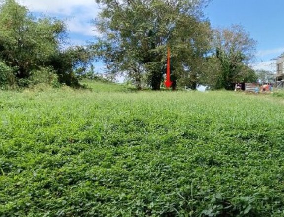 Foreclosed 643 sqm Residential Lot For Sale in Calamba Laguna