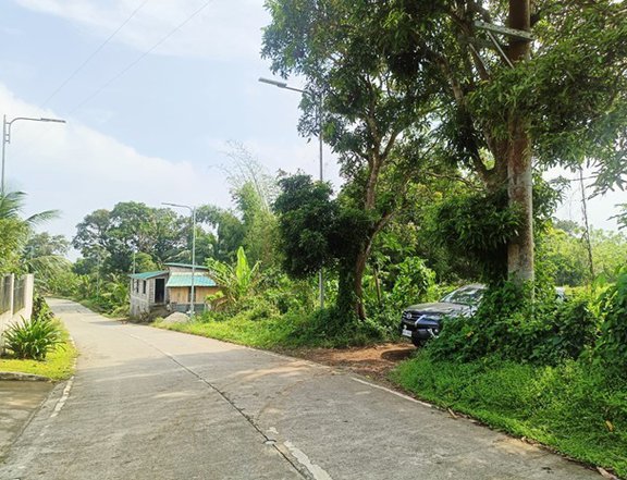 2.1 hectares Farm Lot For Sale in Amadeo Cavite near Aguinaldo Highway 2,500/sq.m.