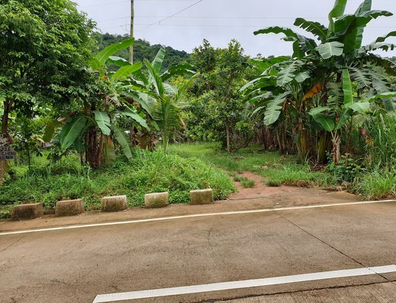 Titled Coron Lot for Sale
