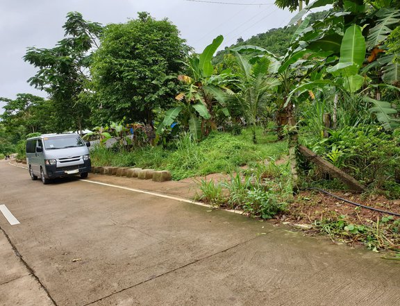 Affordable Titled Lot in Coron