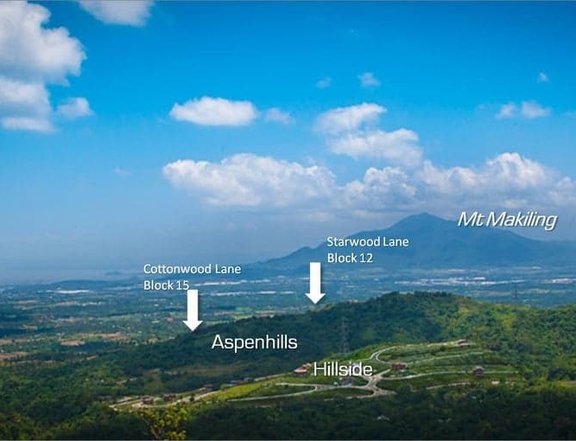 Residential Lot for Sale in Tagaytay Highlands Asphen Hill