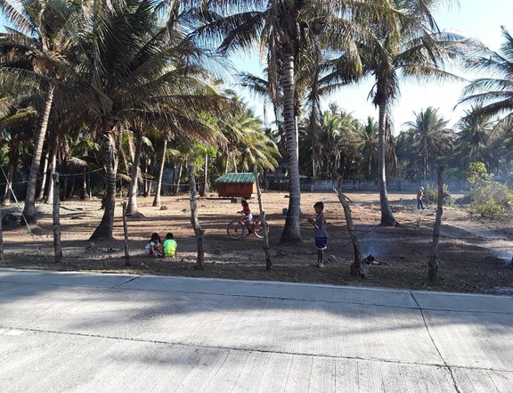 2750 sqm Commercial or Residenz Space For Sale in Bolinao Pangasinan