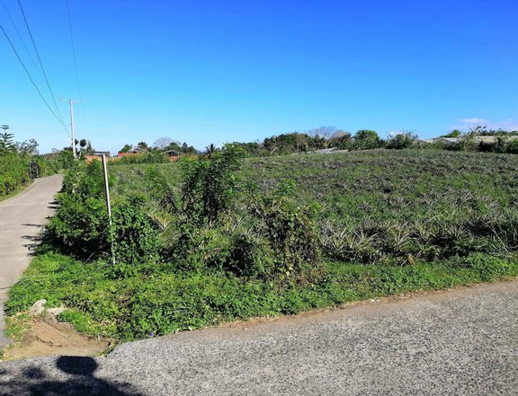 Farm Lot with existing barn for sale in Silang Cavite