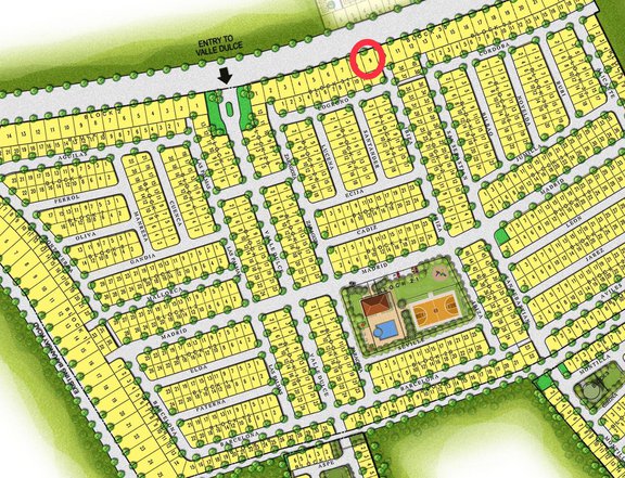 Commercial Lot for Sale(150sqm)-Infront of Subdivision-Valle Dulce