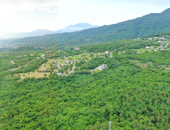 Ayala Greenfield Estates Big Residential Lot For Sale Calamba Laguna Build your dream home here