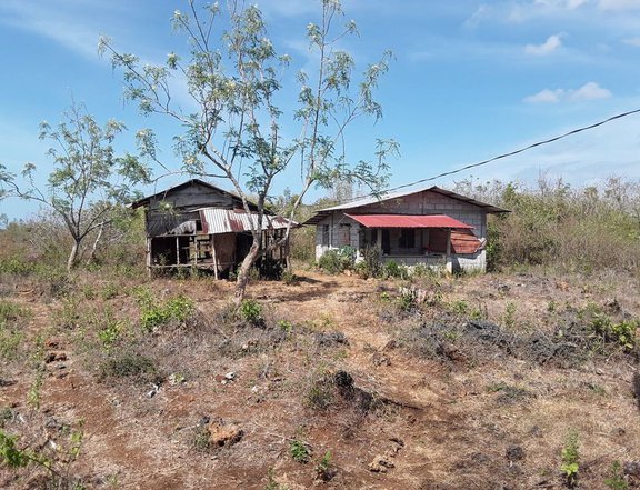 Farm 7.4 hectares, Bolinao Lubigan (Cabuyao)
