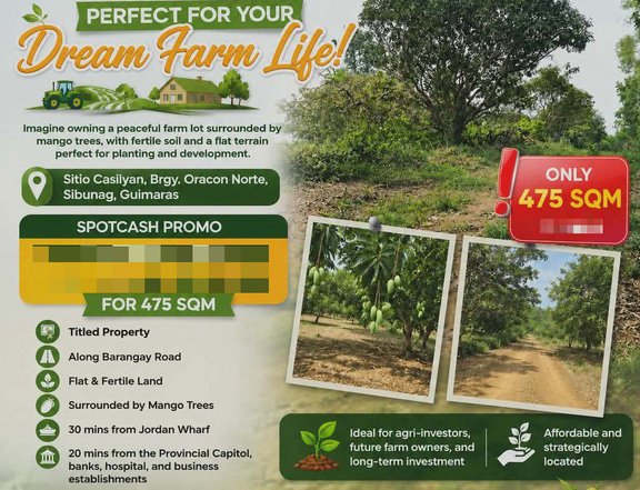 Farm Lot Surrounded by Mango Trees in Guimaras for Sale