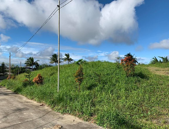 Tagaytay Lot for Sale direct Seller Clean Title installment accepted