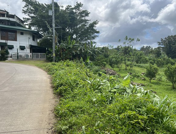 TRANSFER OF TITLE INCLUDED FARM LOT FOR SALE IN ALFONSO NEAR TAGAYTAY