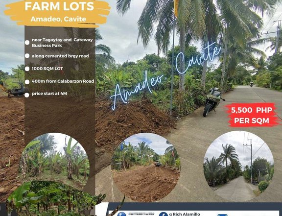 1000sqm Subdivided Farm in Amadeo, Cavite