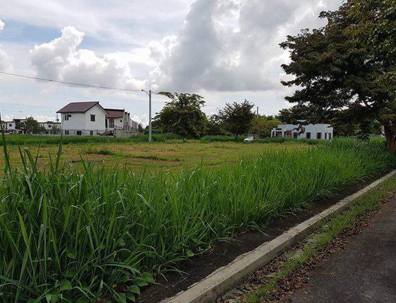 Best to live and invest in NUVALI . Reserve! your Corner Lot Now