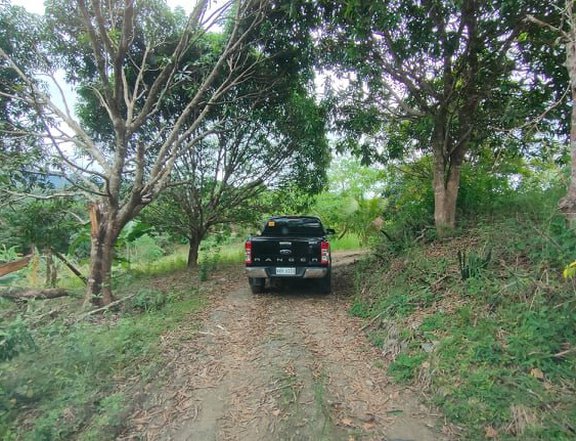 9 hectares Agricultural Farm For Sale in Laur, Nueva Ecija