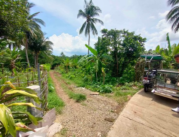 This leisure farm lot in Alfonso, Cavite is the perfect place for you.