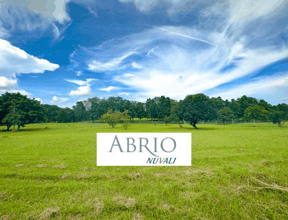 Abrio Nuvali for Sale, Phase 2 (972 sqm)