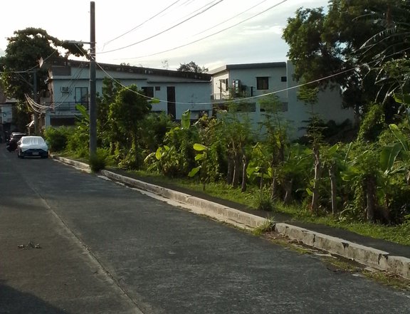 I'm selling 155sqm. 41,000/sqm. 11yrs. to pay, residential lot in Greenwoods Subdivision,Pasig City