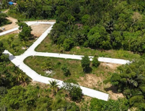 most affordable residential lot bayan ng alfonso 15 mins tagaytay city