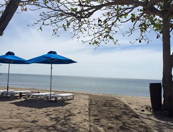 Laiya Residential lot 309sqm available at Playa Laiya