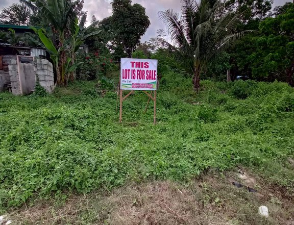 1200sqm lot along national highway for sale in digos davao del sur