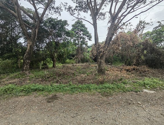 220 sqm Residential Lot For Sale in General Trias Cavite