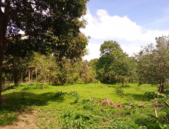 Agricultural farm lot good for retirement house near Tagaytay