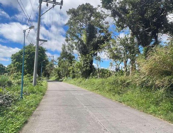 250sqm Residential Farm Lot for sale in Alfonso near Tagaytay