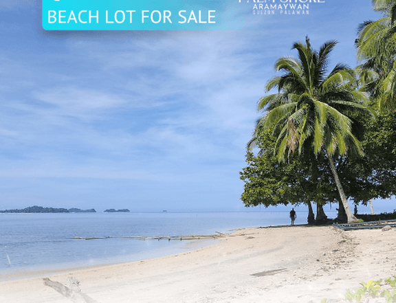 Ready For Occupancy 400 sqm Beach Property For Sale By Owner in Quezon Palawan